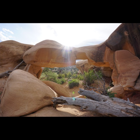 Meet your Posher, Callandra - Picture 2 of 2